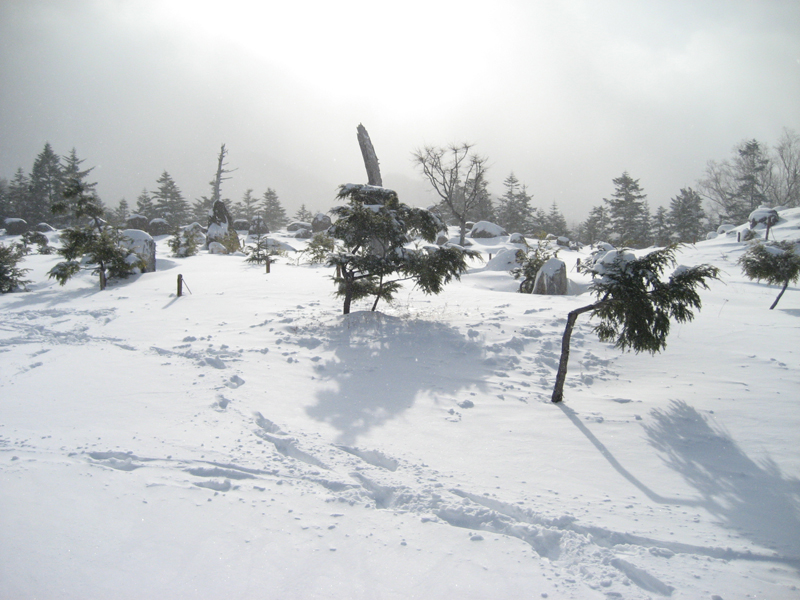 日光白根山山頂